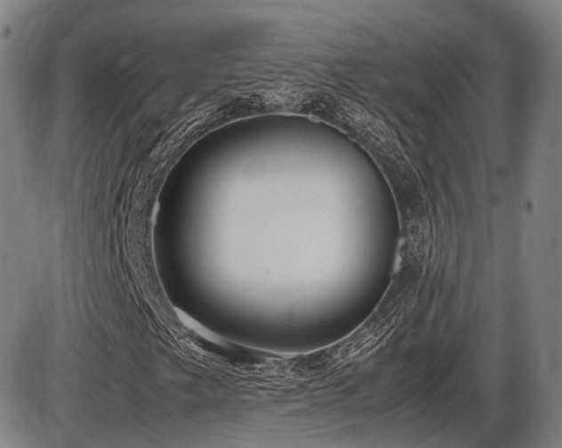 X0000086331249200703301221