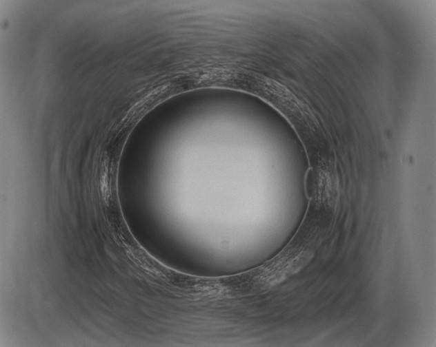 X0000086331250200703301221