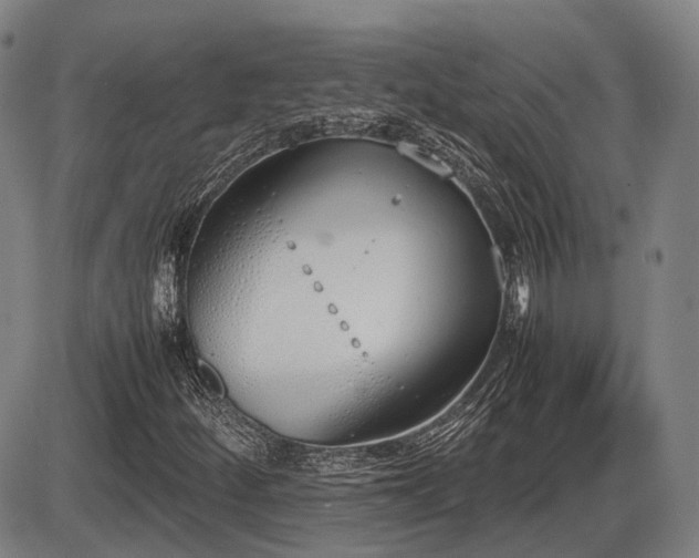 X0000086331252200703301221