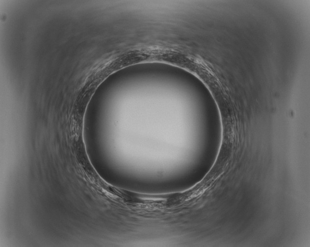X0000086331253200703301221