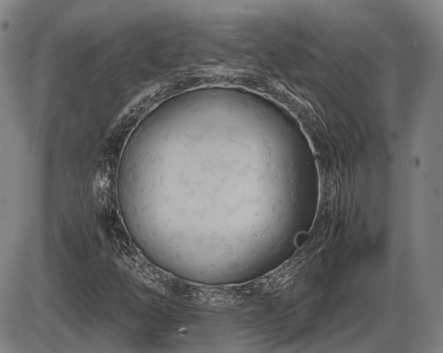 X0000086331254200703301221