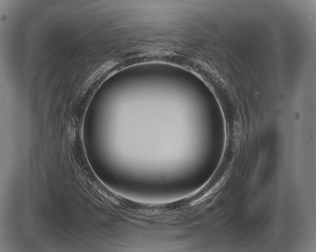 X0000086331257200703301221