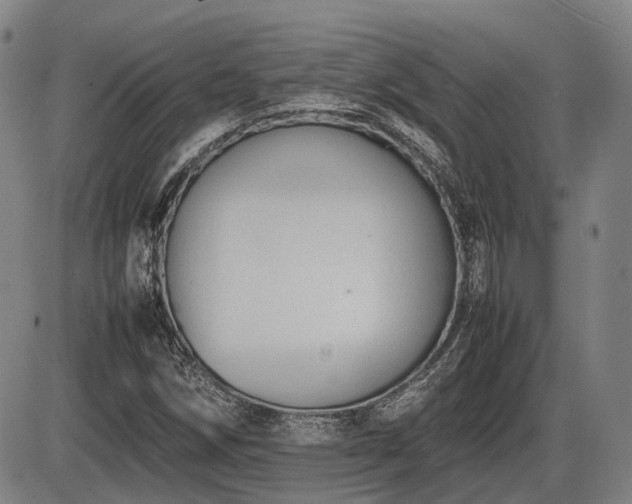 X0000086331258200703301221