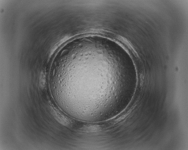 X0000086331260200703301221