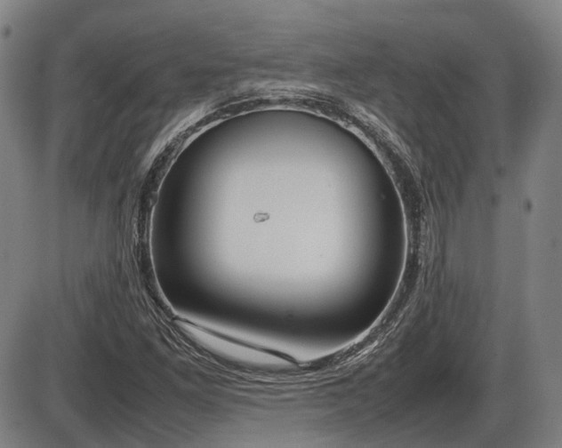 X0000086331261200703301221
