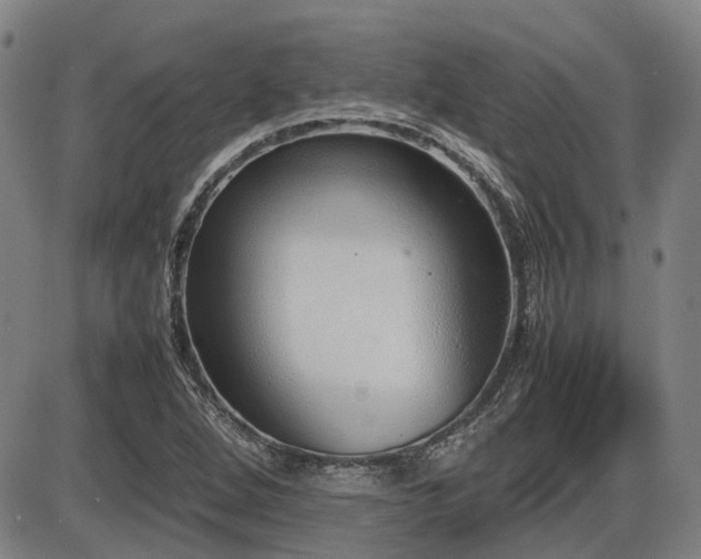 X0000086331264200703301221