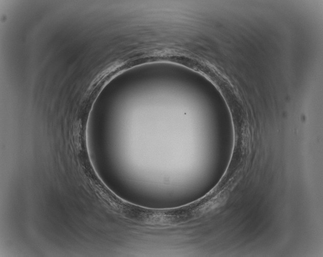X0000086331265200703301221