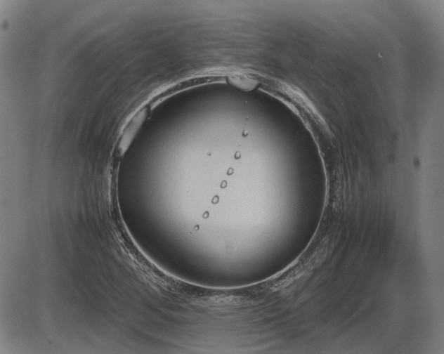 X0000086331268200703301221