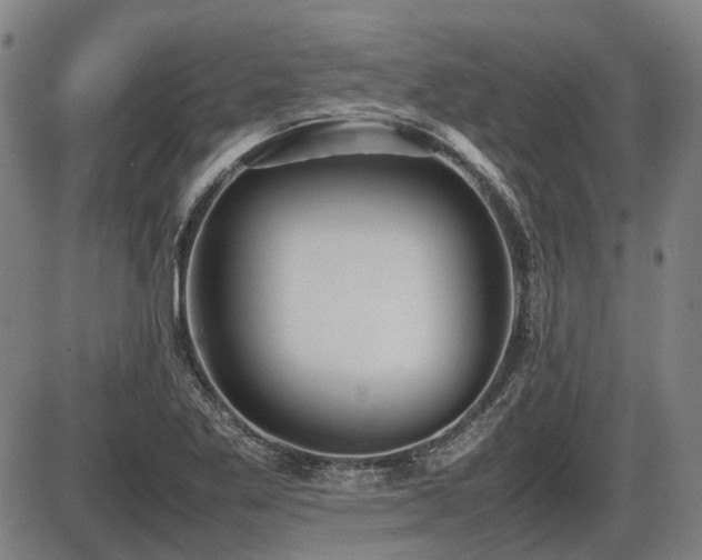 X0000086331269200703301221