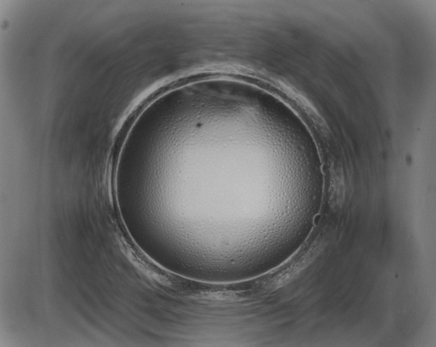 X0000086331272200703301220