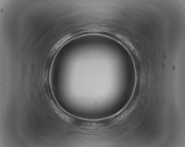 X0000086331273200703301220