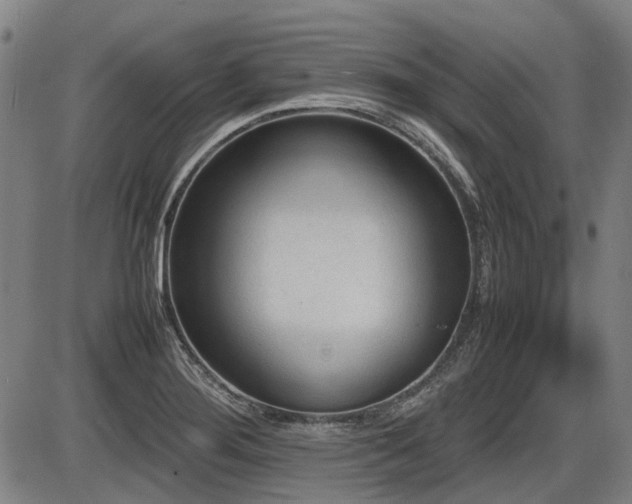 X0000086331276200703301220
