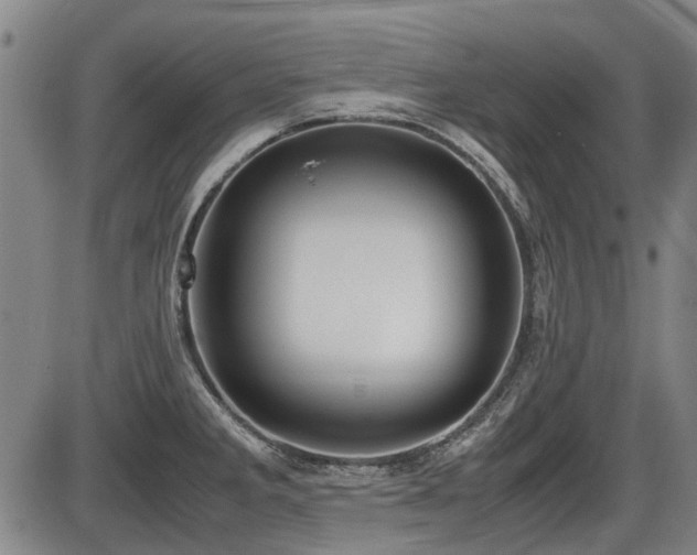 X0000086331285200703301220