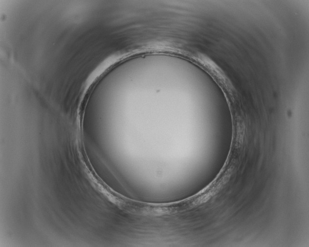 X0000086331286200703301220
