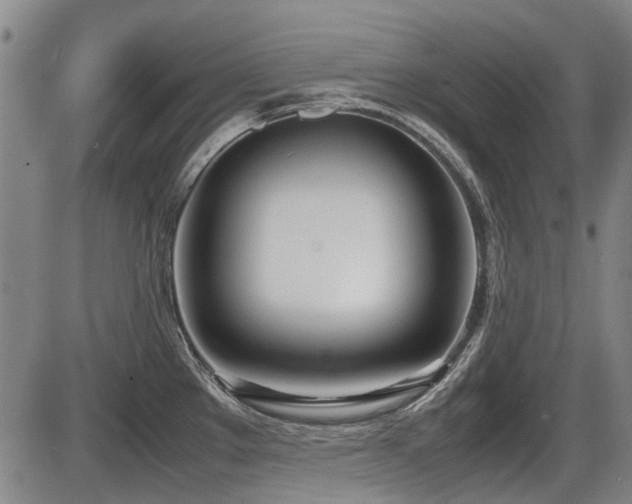 X0000086331289200703301220