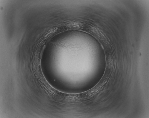 X0000086331297200703301219