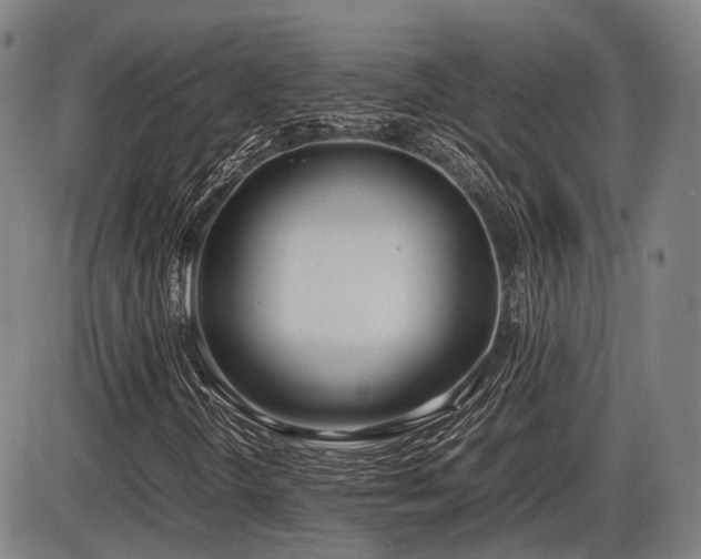 X0000086331298200703301219
