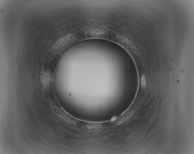 X0000086331299200703301219