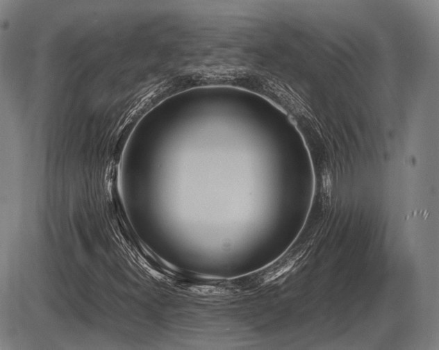 X0000086331300200703301219