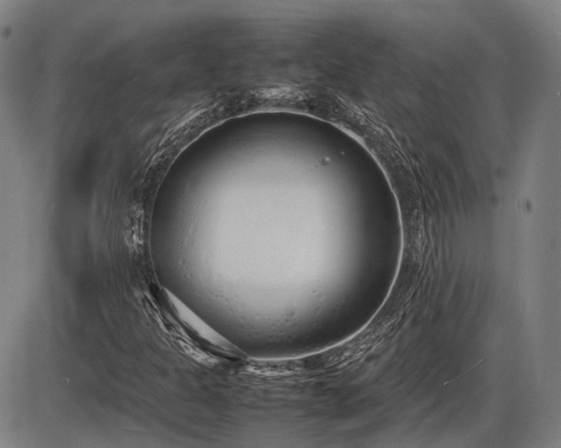 X0000086331301200703301219