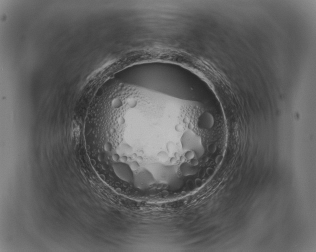 X0000086331302200703301219