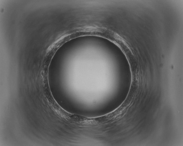 X0000086331304200703301219