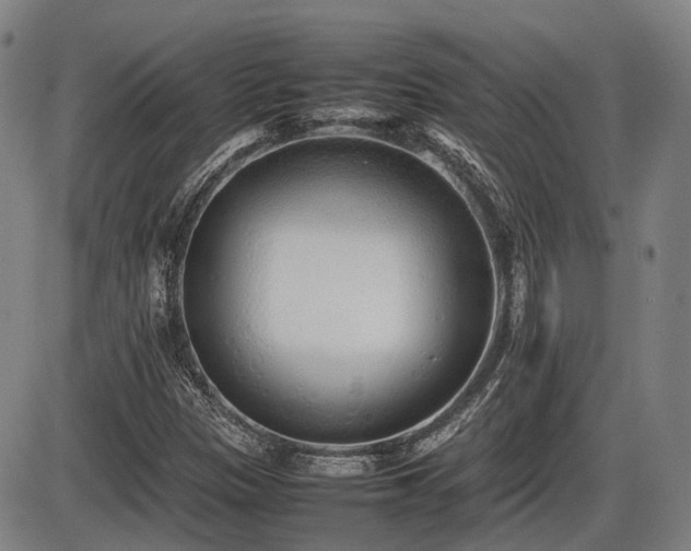 X0000086331305200703301219