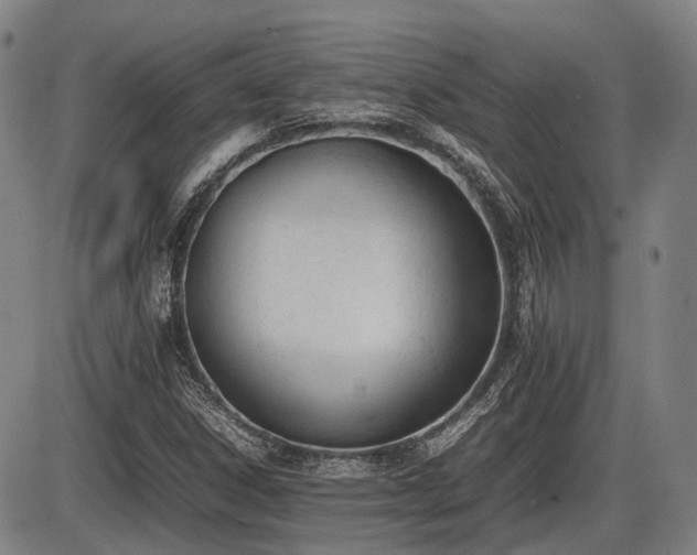 X0000086331306200703301219