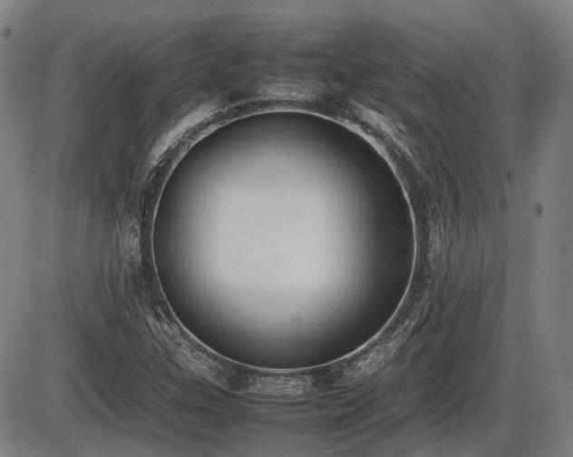 X0000086331307200703301219