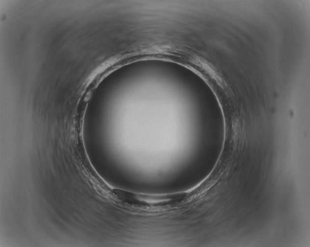 X0000086331308200703301219