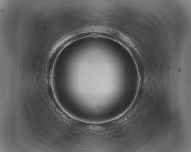 X0000086331312200703301220