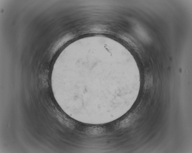 X0000086331314200703301220