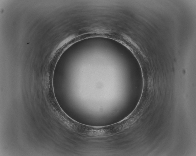 X0000086331315200703301220