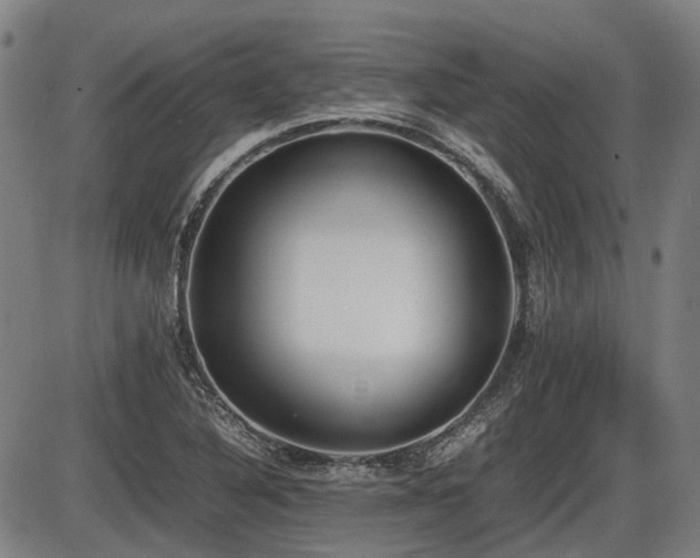 X0000086331316200703301220