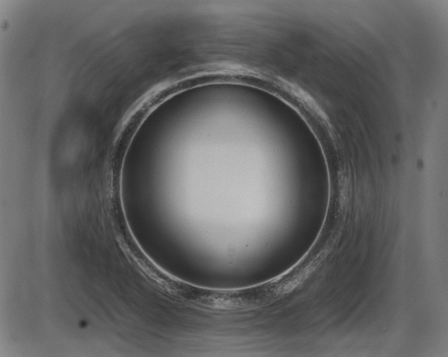 X0000086331318200703301220