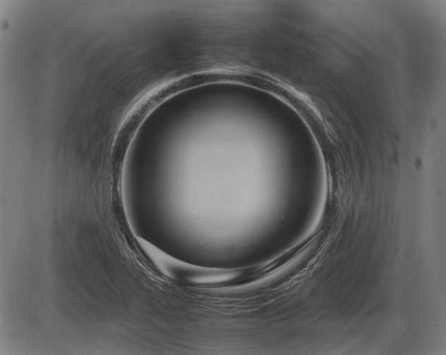 X0000086331319200703301220