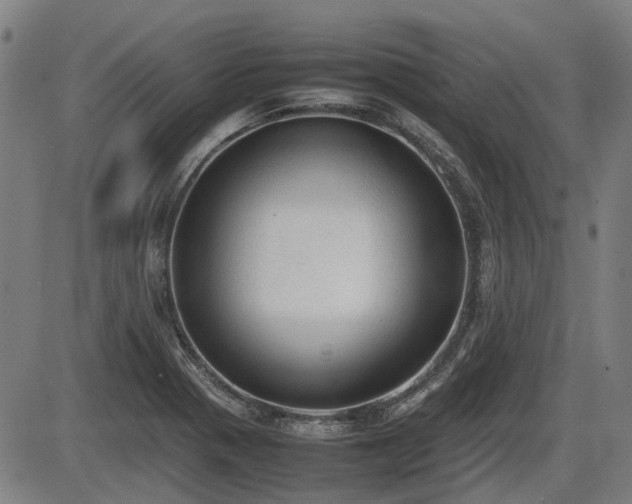 X0000086331321200703301220