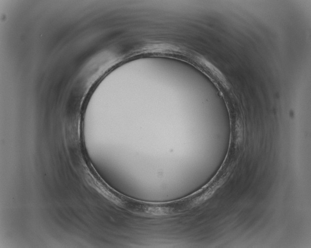 X0000086331322200703301220