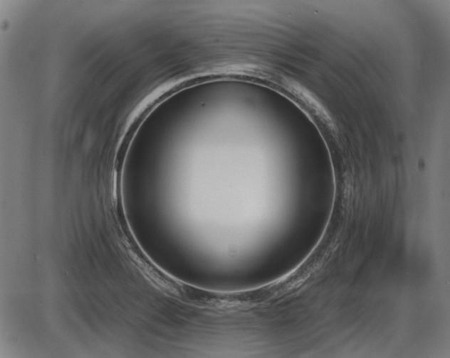 X0000086331324200703301220