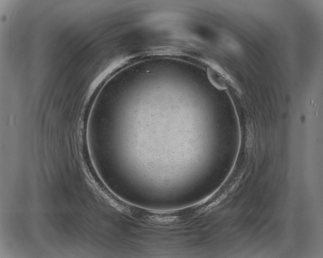 X0000086331325200703301220