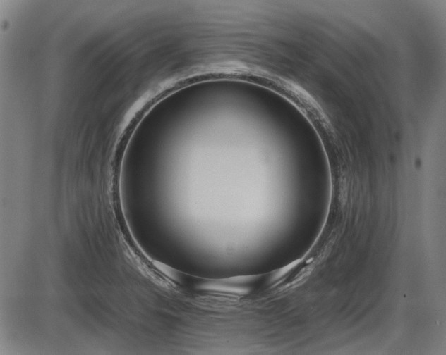 X0000086331326200703301220