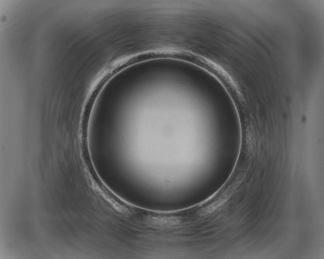 X0000086331327200703301220