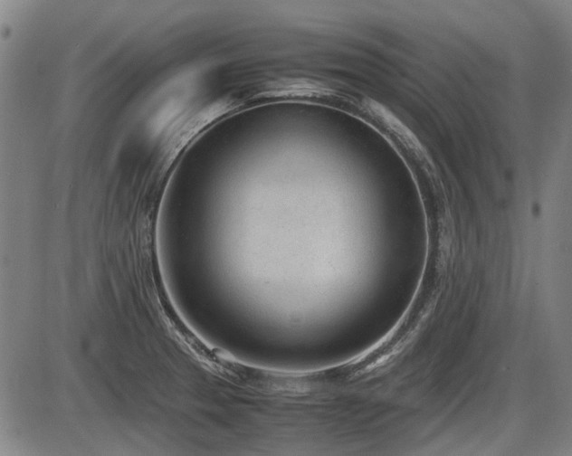 X0000086331329200703301220