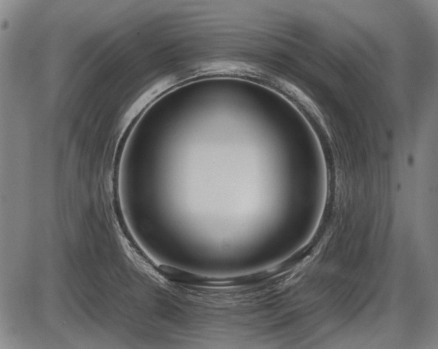 X0000086331330200703301220