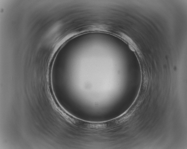 X0000086331339200703301220