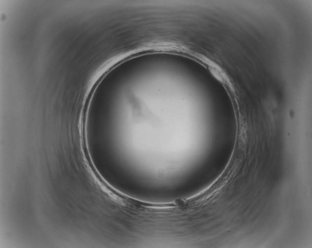 X0000086331343200703301220