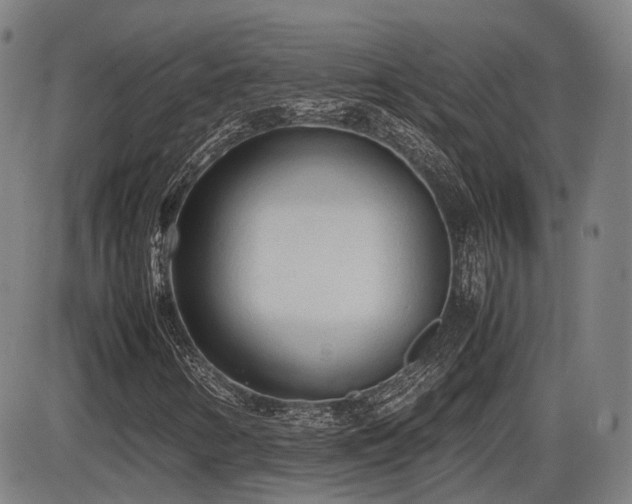 X0000086331346200703301219