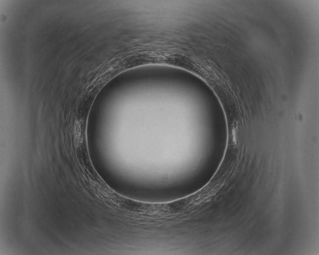 X0000086331347200703301219