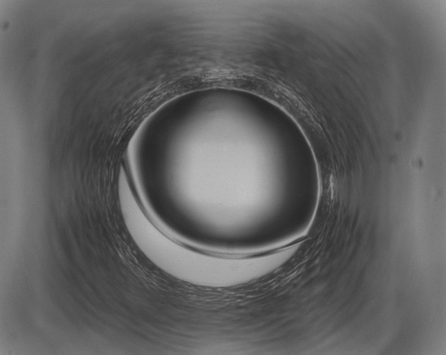 X0000086331348200703301219