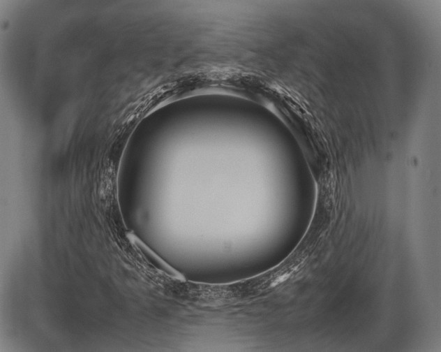 X0000086331349200703301219